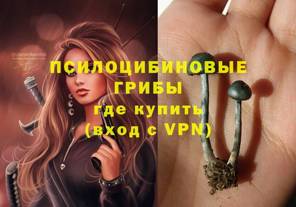 крисы Алексеевка