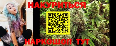 кокс Кингисепп