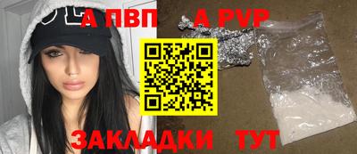 кокс Кингисепп
