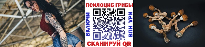 Псилоцибиновые грибы Psilocybe  Удомля 